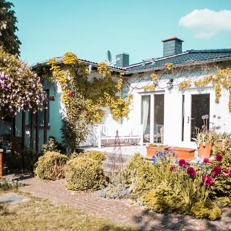 Unter Den Linden Hungen