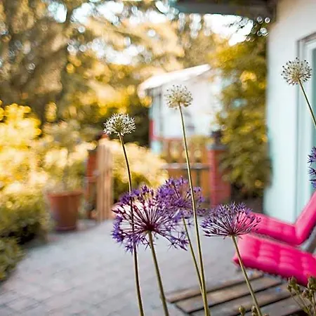 Bed & Breakfast Unter Den Linden Hungen
