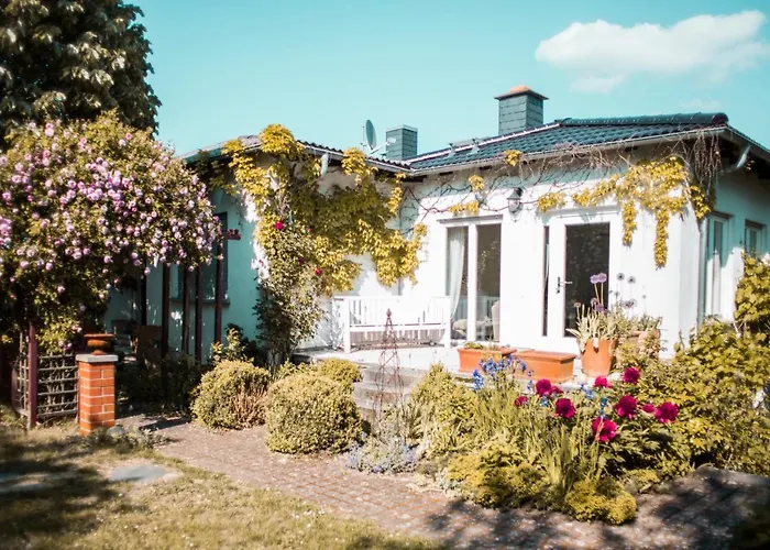 Unter Den Linden Hungen