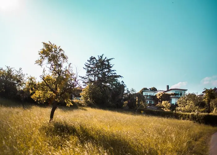 Unter Den Linden Hungen