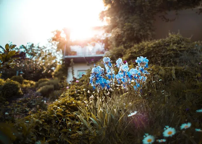 Unter Den Linden Hungen