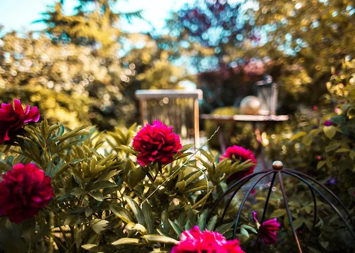 Unter Den Linden Bed & Breakfast Hungen